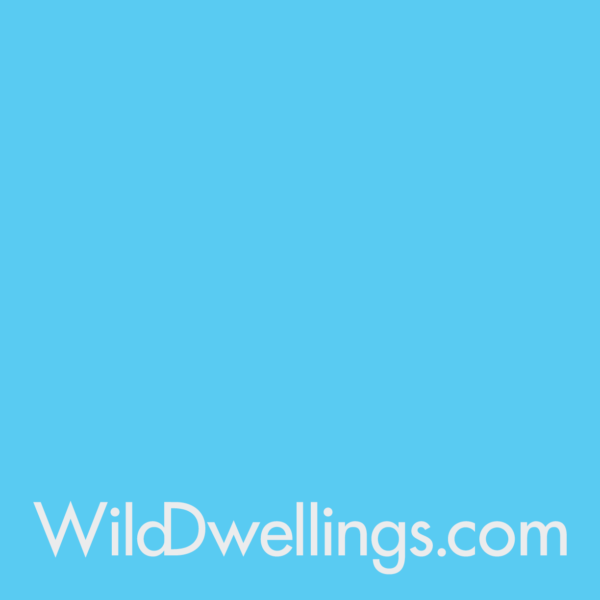 Wild Dwellings - Airstream Restomods | Custom home design | Custom home Builder | Custom Cabinetry | Residential and Commercial Electrical | Tiny Home Builder | Flatpack Tiny Homes